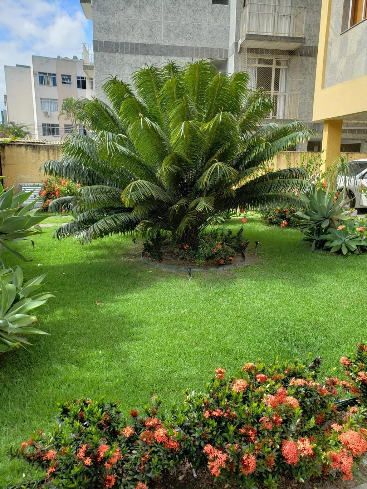 Localizacao Imbativel! A 98M Da Praia Do Forte Com Conforto, Ar-Condicionado E Estacionamento! Кабо Фрио Екстериор снимка